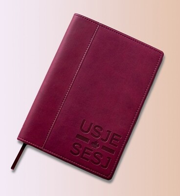 Leather Notebooks / Cahiers en cuir