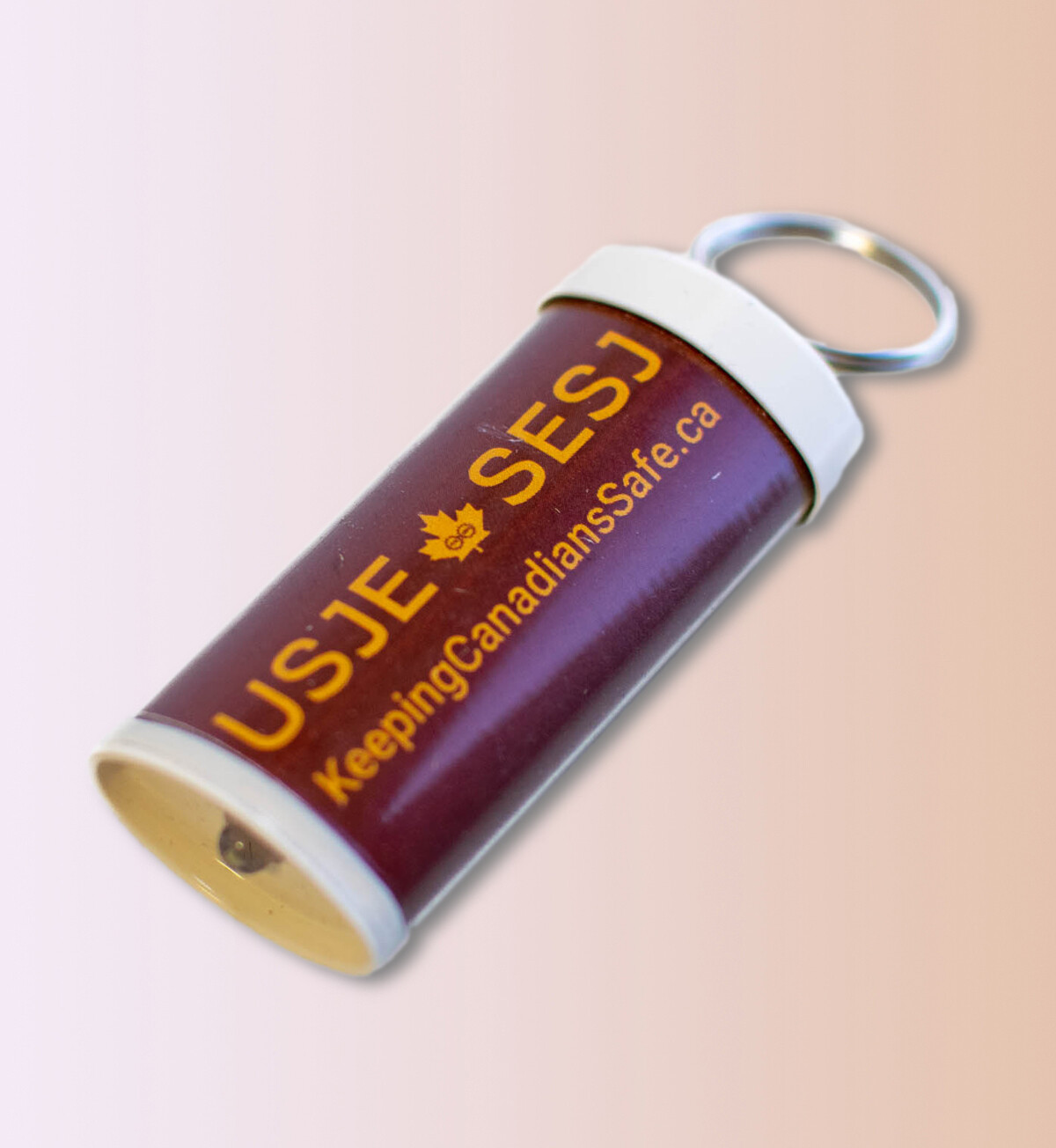 USJE LED Flashlights / Lampes de poche à DEL du SESJ