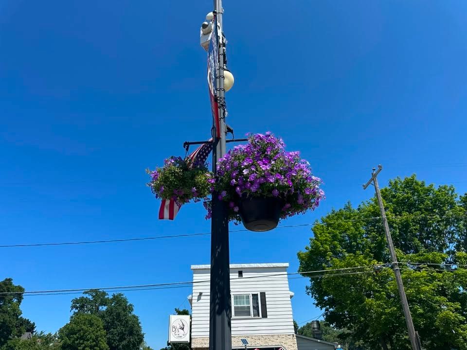 Hanging Baskets