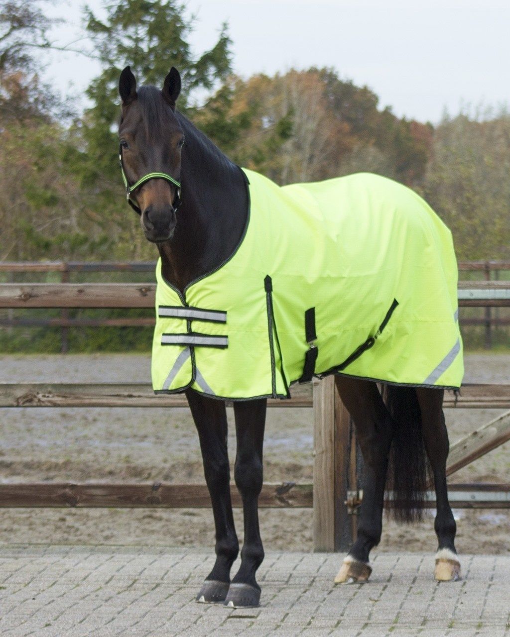 QHP Blanket Turnout reflection 0 grams