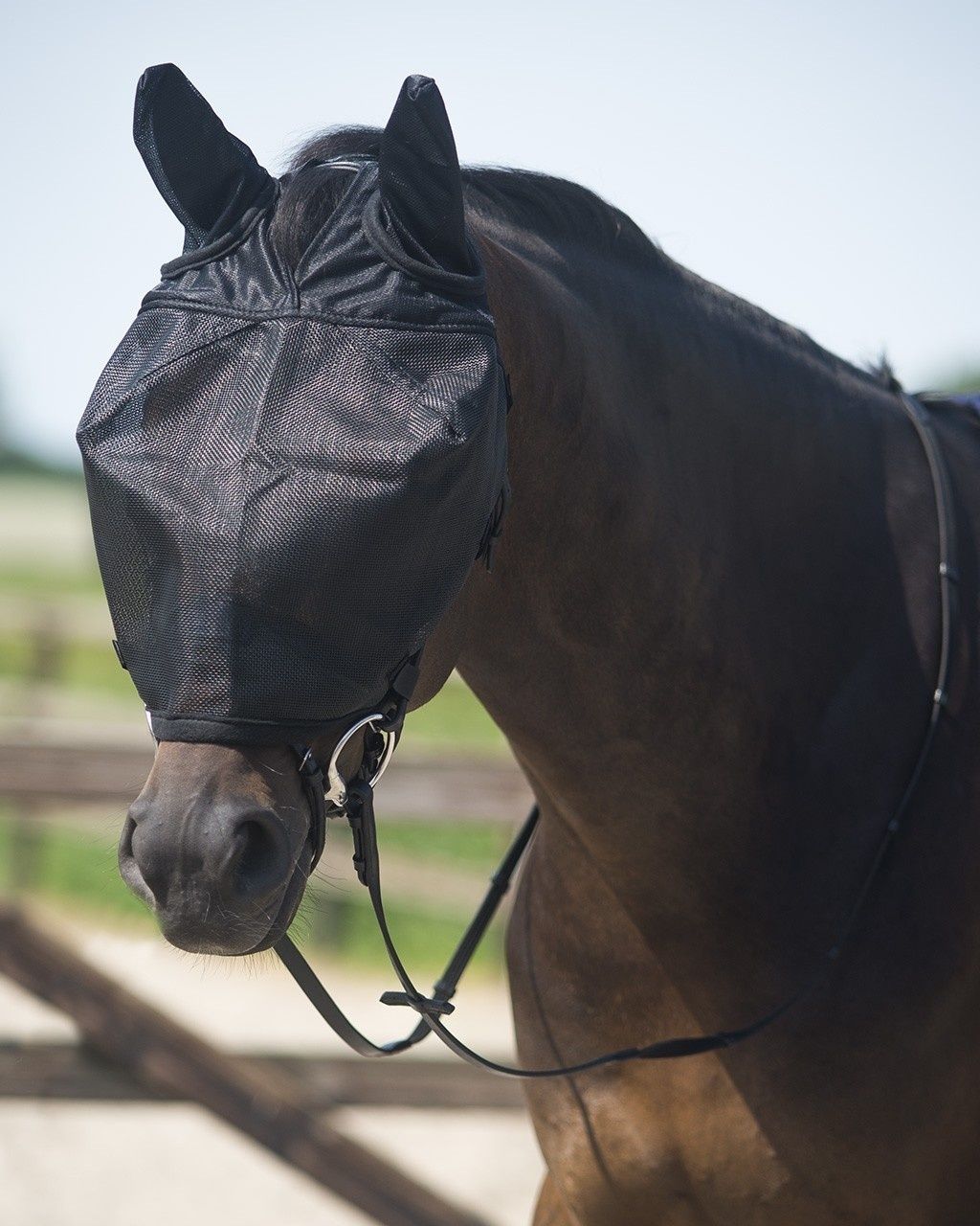 QHP Driving fly mask with black ears