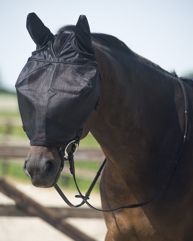 QHP Driving fly mask with black ears