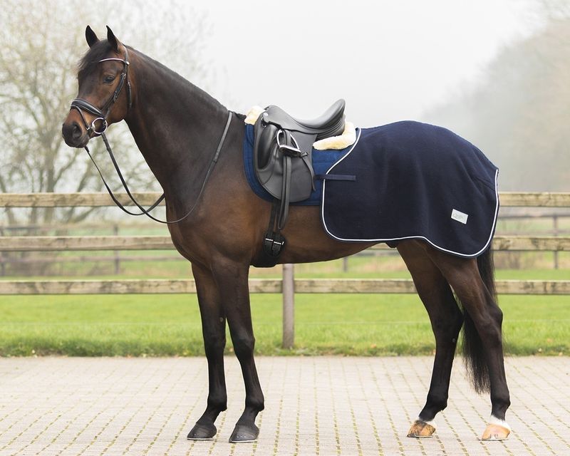 QHP Riding Sheet Wool Quarter Navy
