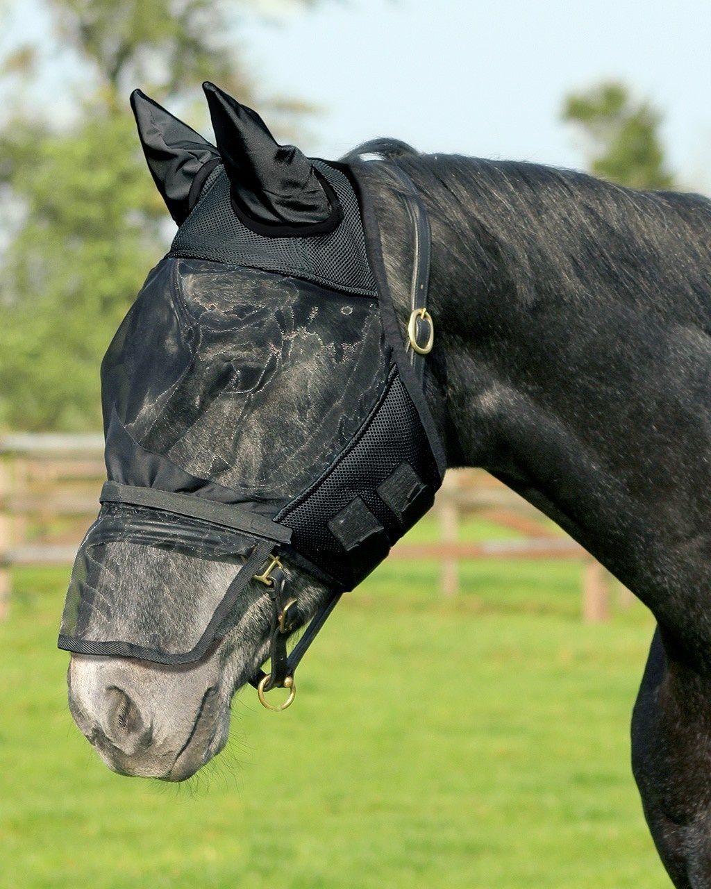 QHP Vliegenkap with removable nose flap Black
