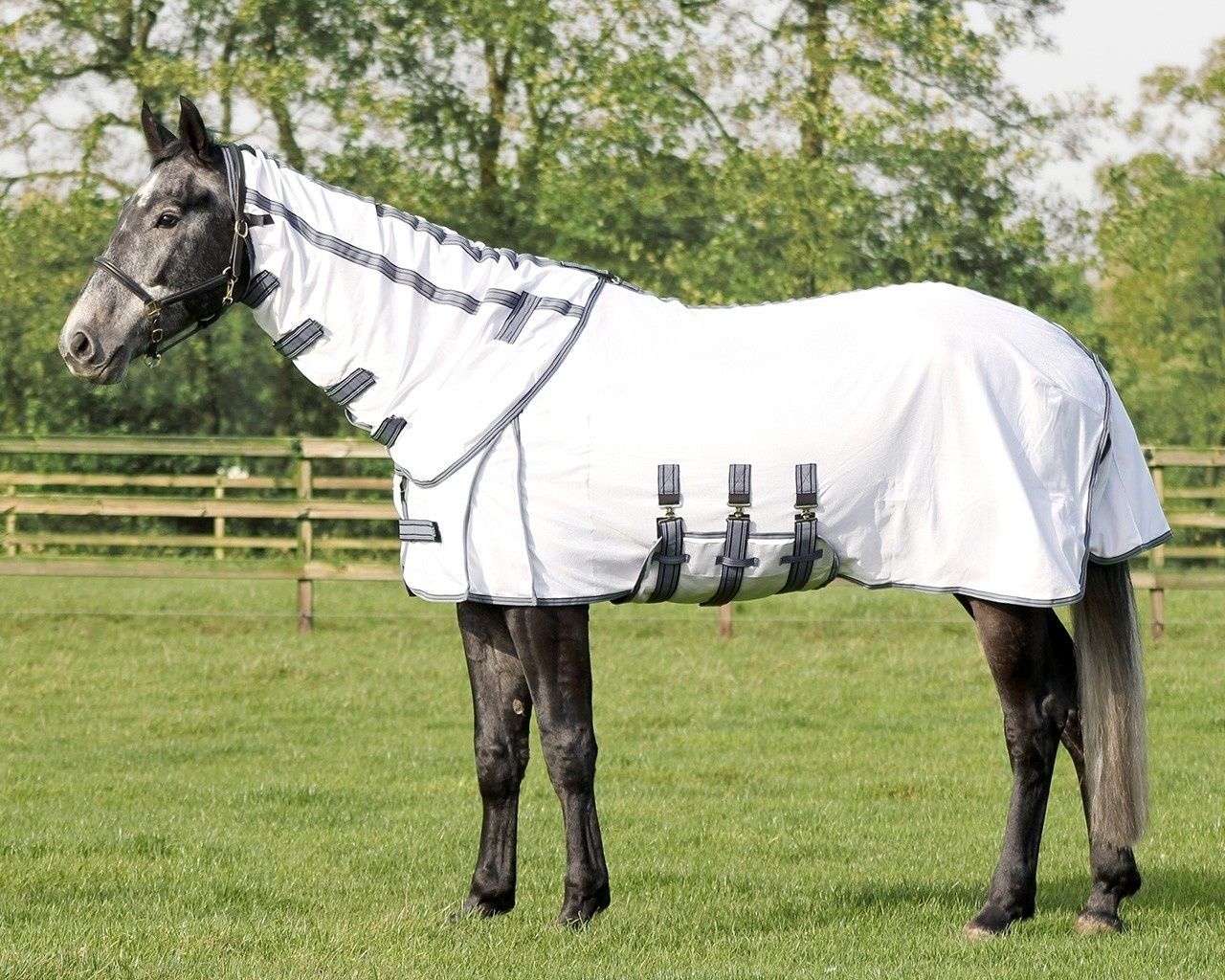 QHP Flysheet Technical White