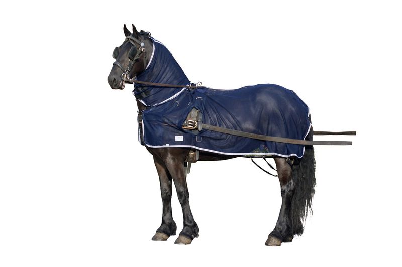 QHP One-fly rug + neck