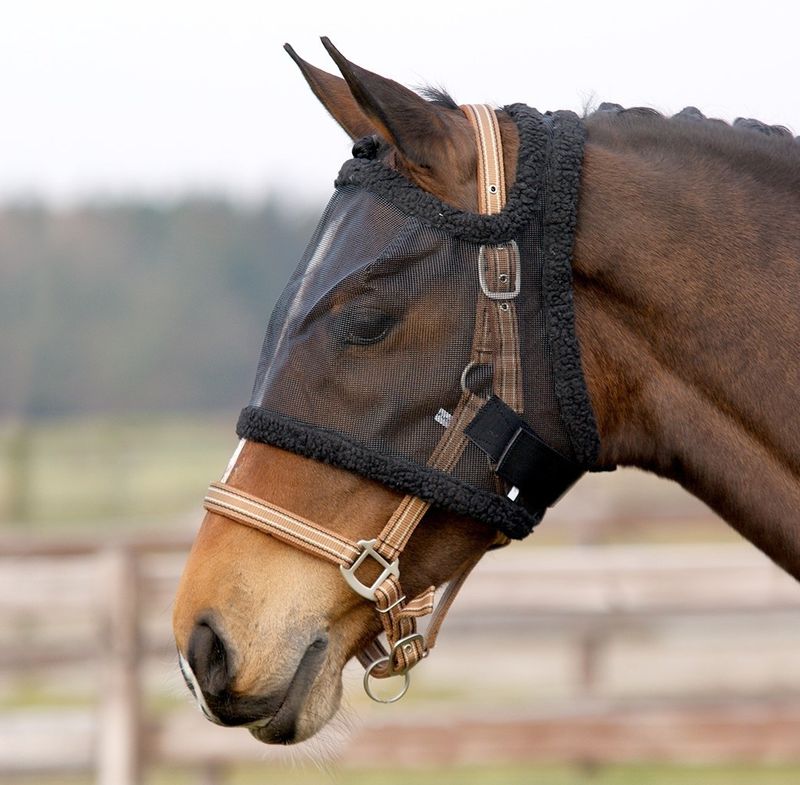 QHP Vliegenkap earless Black