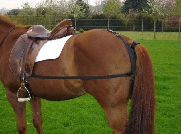SteedAppleCatcher manure bag