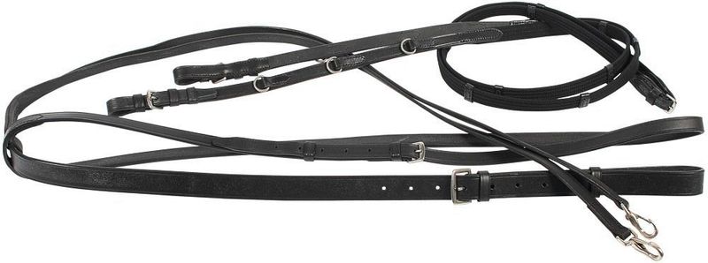 Harry&#39;s Horse Thiedemann rein