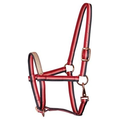 Harry&#39;s Horse Foal halter Azores