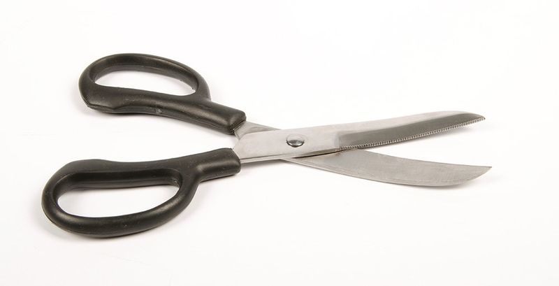 Harry&#39;s Horse scissors heavy duty curved steel