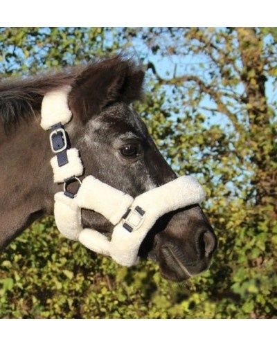 HB Showtime Harry and Hector Fluffy halter Navy