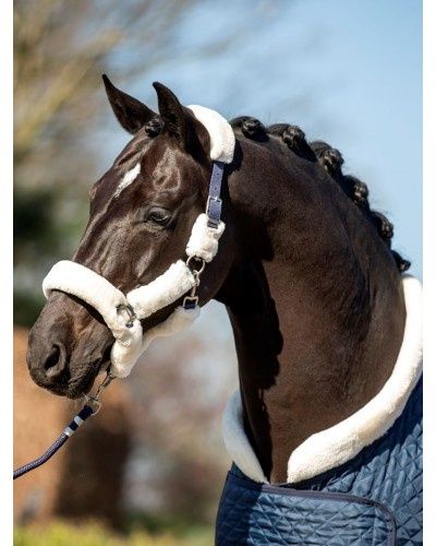 HB Showtime Fluffy halter Steelblue Desir