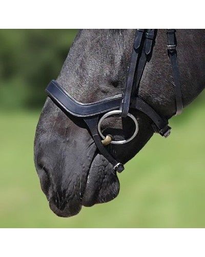 HB Show-time Anatomical Noseband