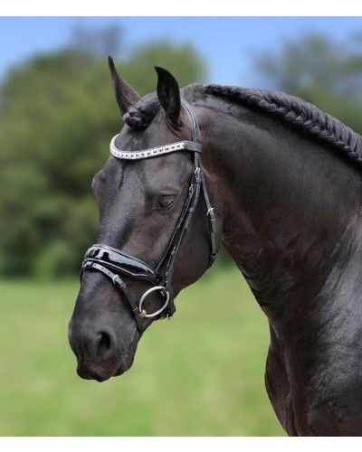 HB Bridle Showtime
