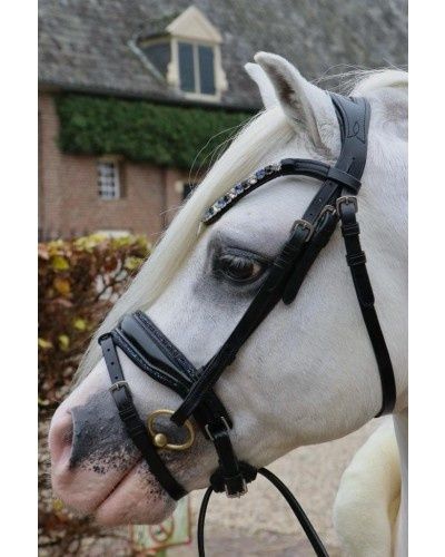 HB Head Bridle Showtime Special A-pony