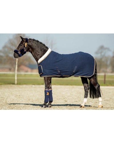 HB Showtime Blue Moon Show rug
