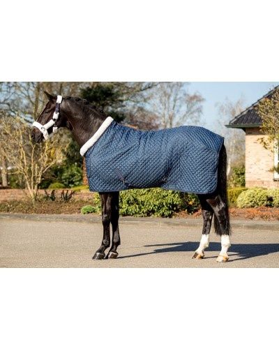 HB Showtime show rug Steelblue Desir