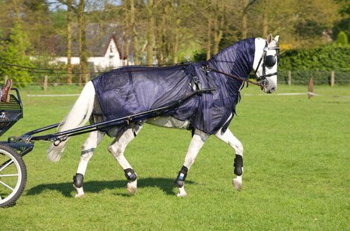 Imperial Riding Fly blanket for driving