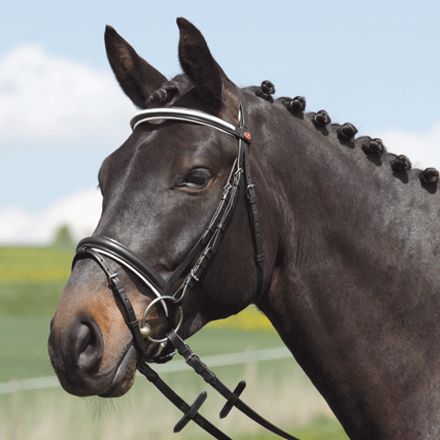 Kieffer Bridle Comfort II