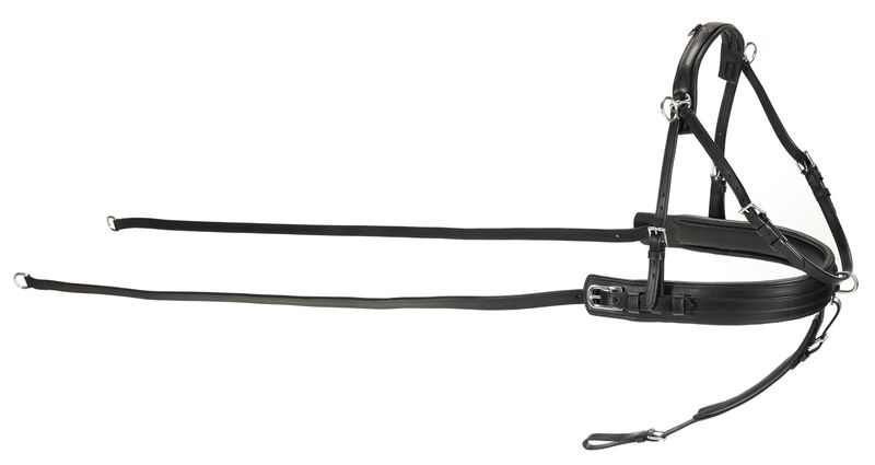Kieffer driving harness Single Harness Leather Black Cob and Full