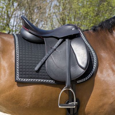 Kieffer Saddle pad Exclusive all purpose
