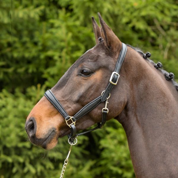 Kieffer leather halter Ultra Soft