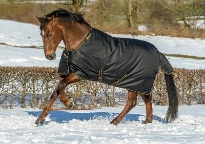 Bucas Irish Turnout Extra black