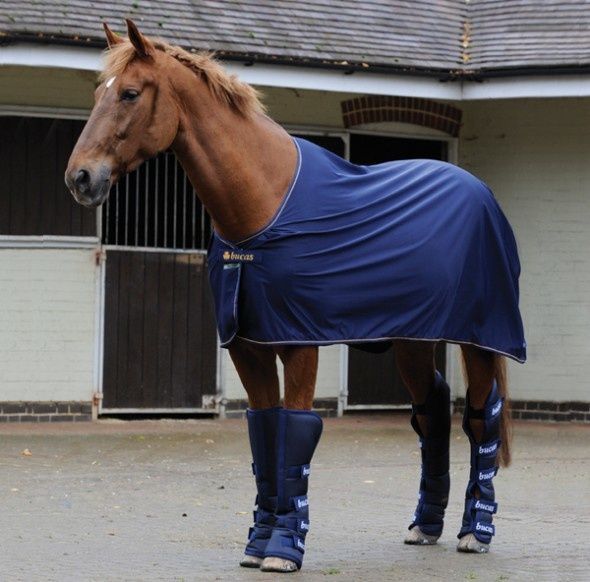 Bucas Power Cooler without neck belly band 1