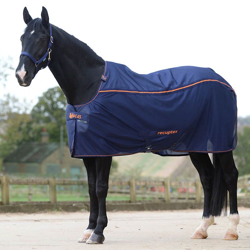 Light Therapy Bucas Navy / Orange