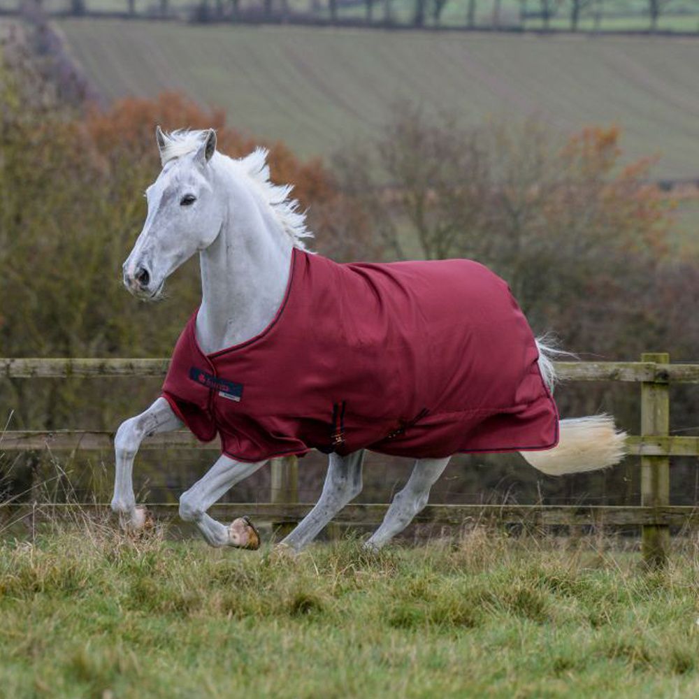 Freedom Bucas Turnout Light 0 grams Cherry