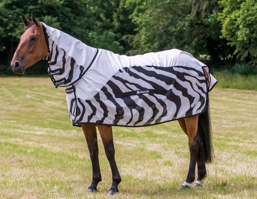 Bucas Buzz Off Rain Zebra Full Neck Zebra
