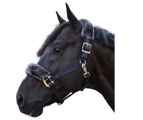 Bucas Show-line halter navy/grey