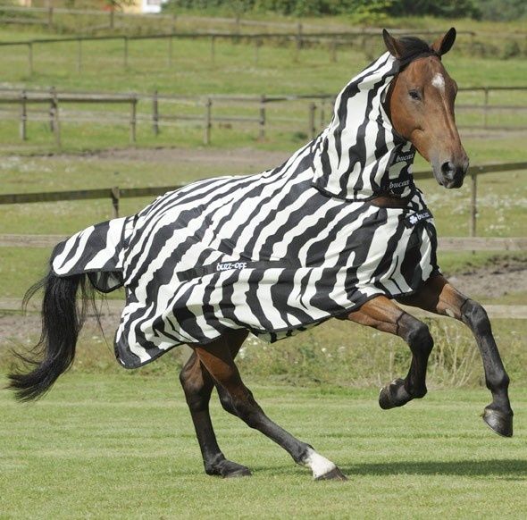 Bucas Buzz-Off Full Neck Zebra Pony