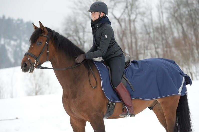 Bucas Riding Rug navy/gold