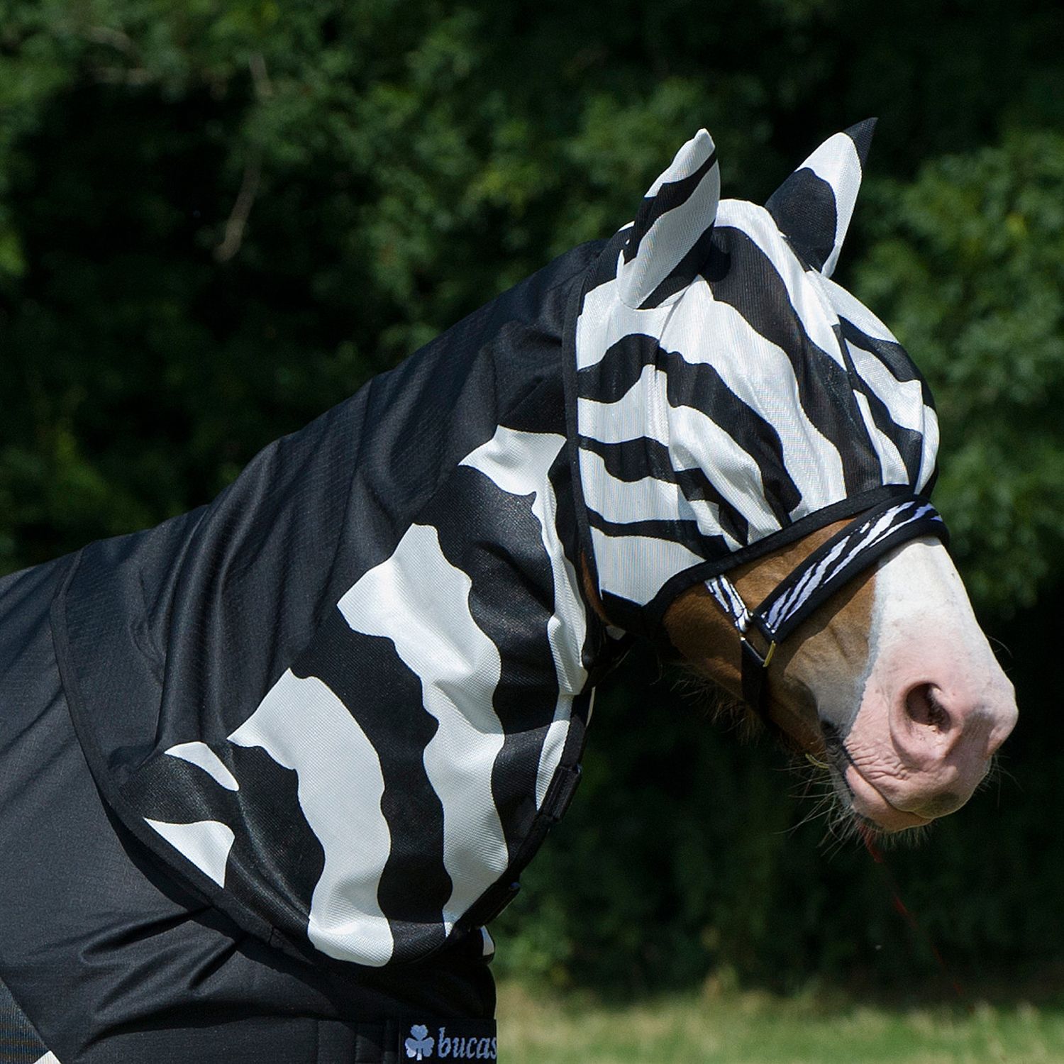 Bucas Buzz-Off Rain Zebra neck