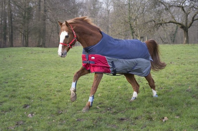 Equithème Tyrex 1200 D Comfort blanket 300 gr.