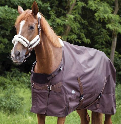 Equithème Tyrex 600D Technique blanket without Polyfill