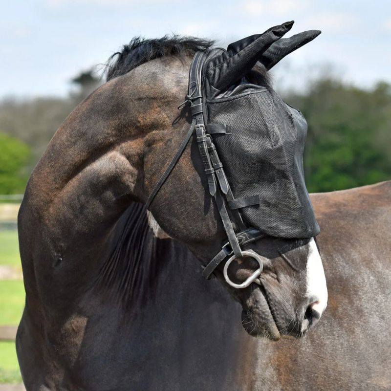Equilibrium Riding Mask