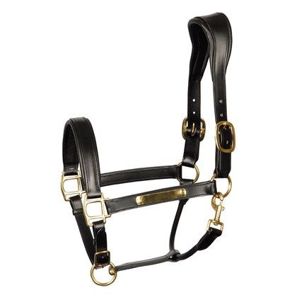Harry&#39;s Horse Head collar Leather Anatomic