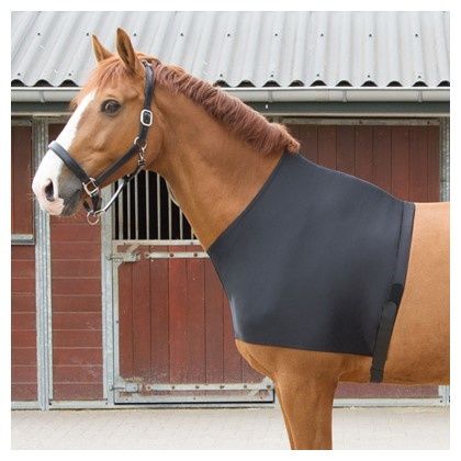 Harry&#39;s Horse Chest protector Elastic