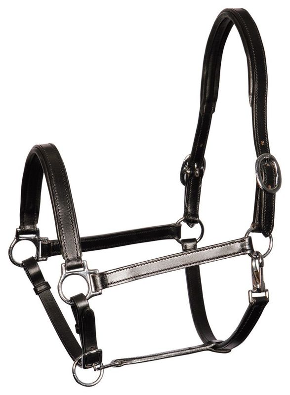 Harry&#39;s Horse Leather Halter Finesse black