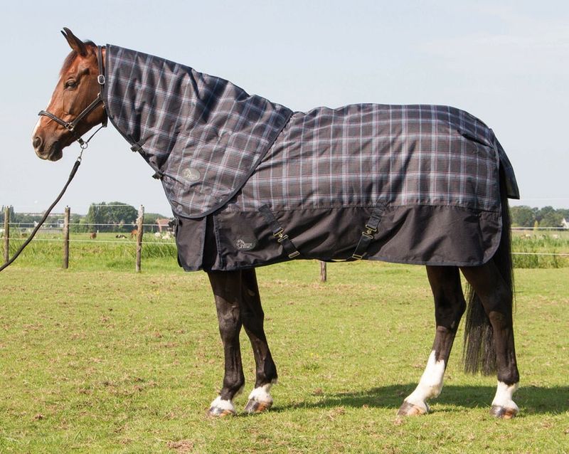 Harry&#39;s Horse Outdoor blanket Thor 400 gram with necks