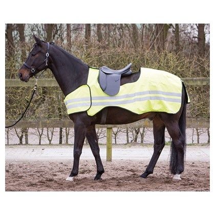 Harry&#39;s Horse Reflection Blanket