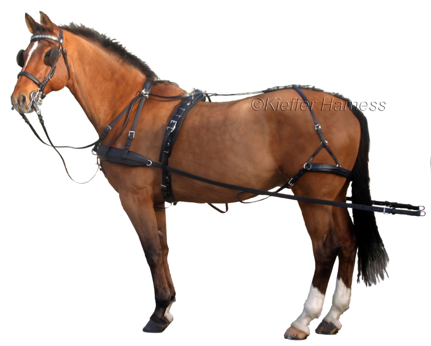 Kieffer driving harness Easy go Combination harness for pair 38 mm