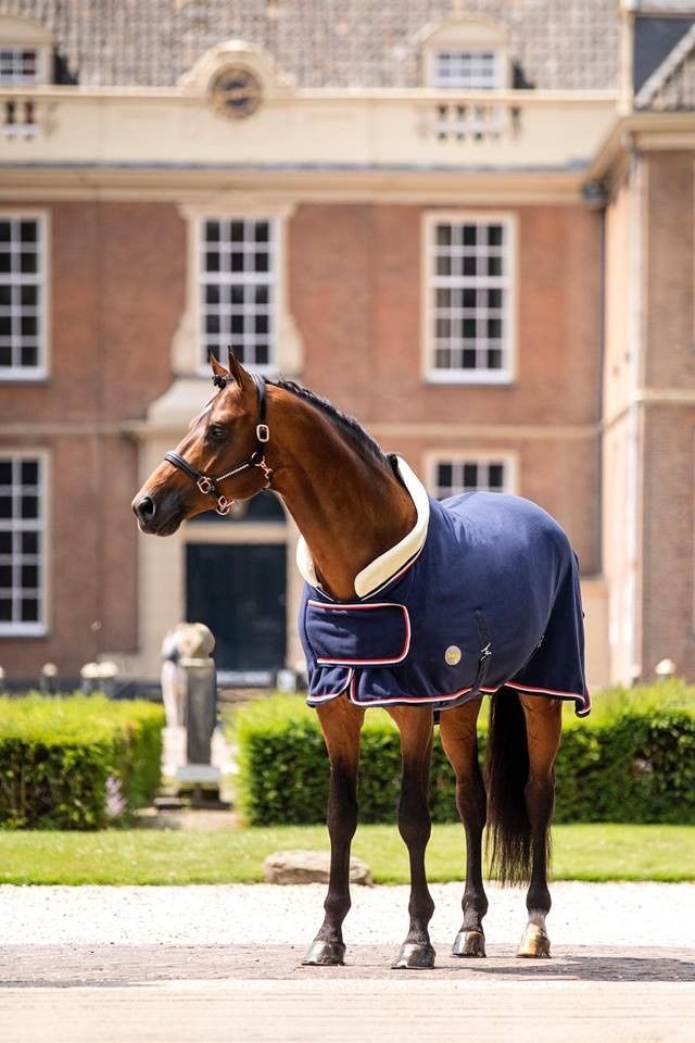 HB Polar Fleecedeken Dutch Crowns 400 grams Navy