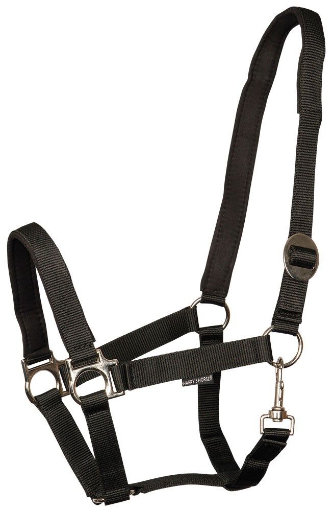 Harry&#39;s Horse Halster Padded