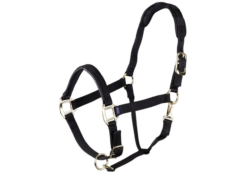 Shires nylon halster topaz