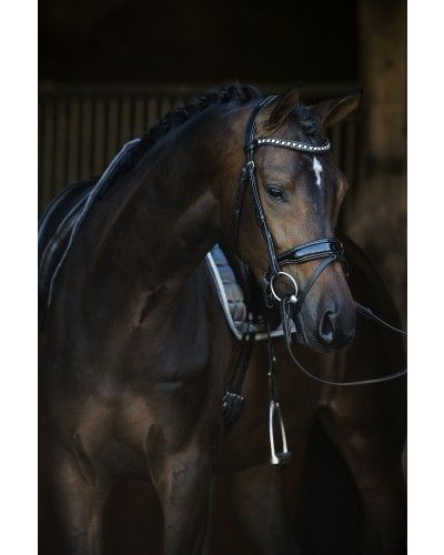 HB Showtime Bridle Armani