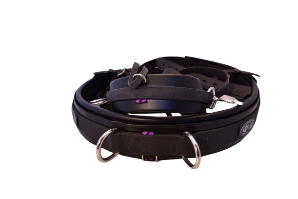 Kieffer chest harness with fixed strings